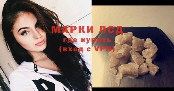хмурый Алзамай