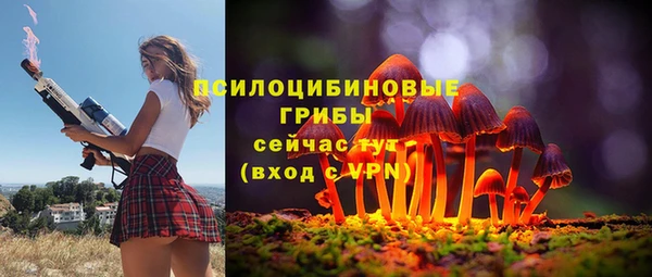 MDMA Premium VHQ Грязи
